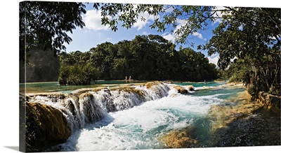 Waterfall, Agua Azul Cascades, Tulija river, Chiapas, Mexico