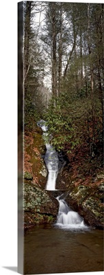 Waterfall in a forest, Appalachian Mountains, North Carolina,