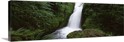 Waterfall in a forest Bridal Veil Falls Oregon Columbia Gorge National Scenic Area Columbia River Gorge Oregon