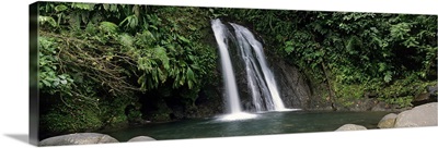 Waterfall in a forest, Cascade aux Ecrevisses, Guadeloupe National Park, Guadeloupe