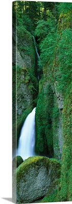 Waterfall in a forest, Columbia River Gorge, Oregon,