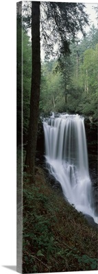 Waterfall in a forest, Dry Falls, Nantahala National Forest, Macon County, North Carolina