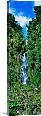 Waterfall in a forest, Father Falls, Trafalgar Falls, Domenica, Caribbean