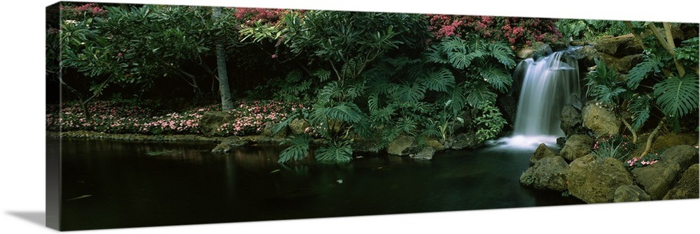 Waterfall in a forest, Lanai, Maui, Hawaii Wall Art, Canvas Prints ...