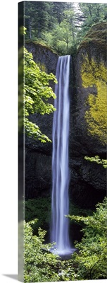 Waterfall in a forest, Latourell Falls, Columbia River Gorge, Oregon
