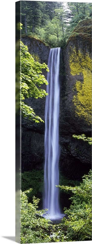 Waterfall in a forest, Latourell Falls, Columbia River Gorge, Oregon ...