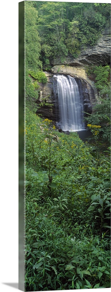 Looking Glass Falls, Pisgah National Forest, North Carolina, USA