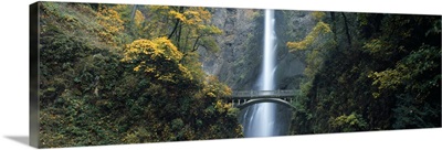 Waterfall in a forest Multnomah Falls Columbia River Gorge Multnomah County Oregon