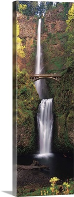 Waterfall in a forest, Multnomah Falls, Columbia River Gorge, Multnomah County, Oregon