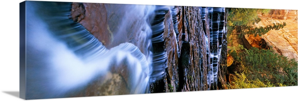 Vertical panorama of a grove of trees and a stream flowing down rocky steps at the base of a canyon.