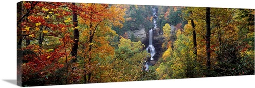 Waterfall in a forest, Raven Cliff Falls, Sumter National Forest ...