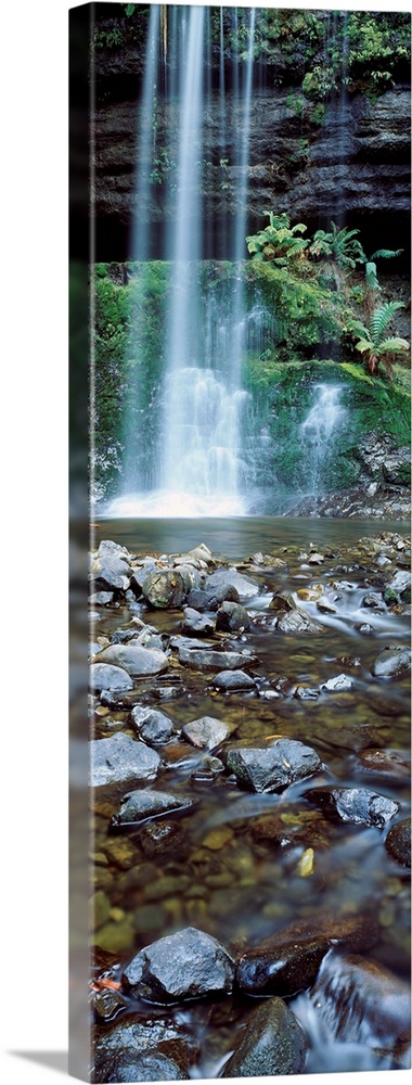 Waterfall in a forest, Russell Falls, Mt Field National Park, Tasmania, Australia
