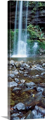 Waterfall in a forest, Russell Falls, Mt Field National Park, Tasmania, Australia