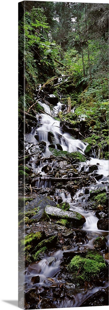 Waterfall in a forest, Seward, Kenai Peninsula Borough, Alaska, USA
