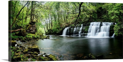 Waterfall in a forest, Sgwd y Pannwr Waterfall, Brecon Beacons National Park, Wales
