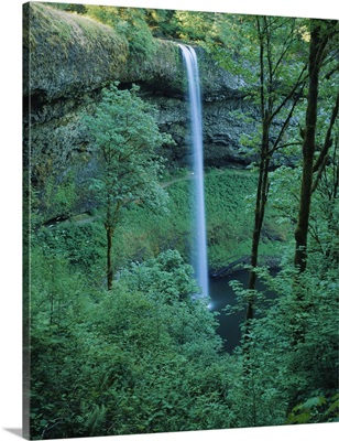 Waterfall in a forest, Silver Falls State Park, Marion County, Oregon
