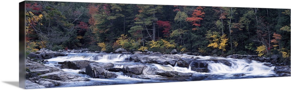 Waterfall in a forest, Swift River, Conway, Carroll County, New Hampshire