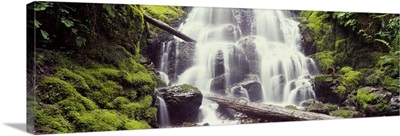 Waterfall in a forest Waheena Falls Hood River Oregon