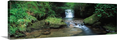 Waterfall in a forest Watersmeet North Devon Devon England