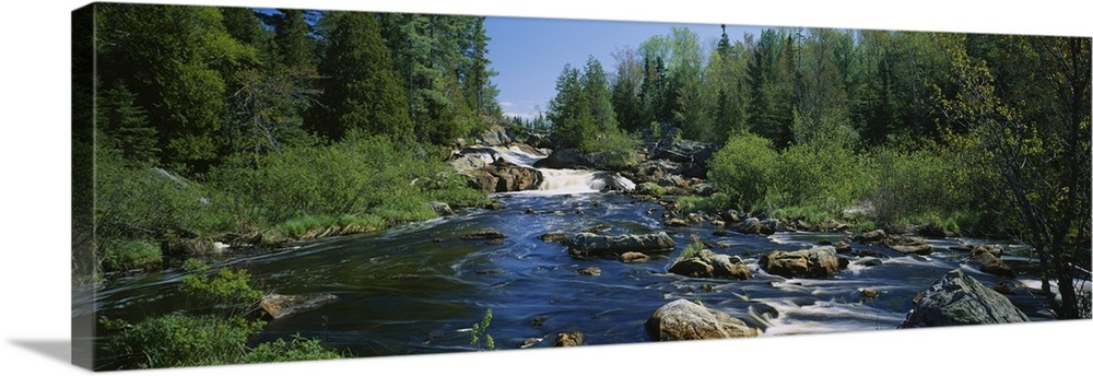 Panoramic photograph of rock stream lined with forest on both sides.