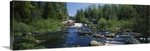 Waterfall in the forest, Michigan | Great Big Canvas