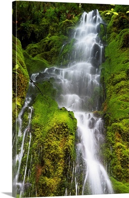 Waterfall over mossy rocks, Oregon Cascades, Oregon, united states,