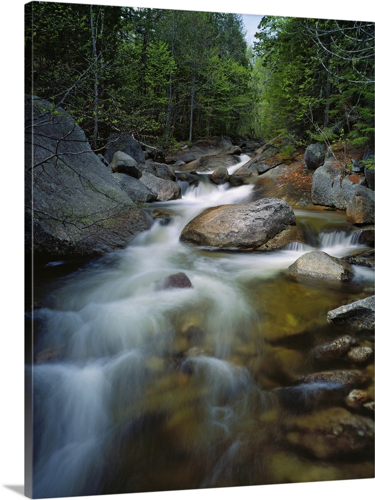 Tall photo on canvas of water rushing through rocks in a stream running through a forest.