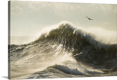 Waves in the Pacific Ocean, San Pedro, Los Angeles, California