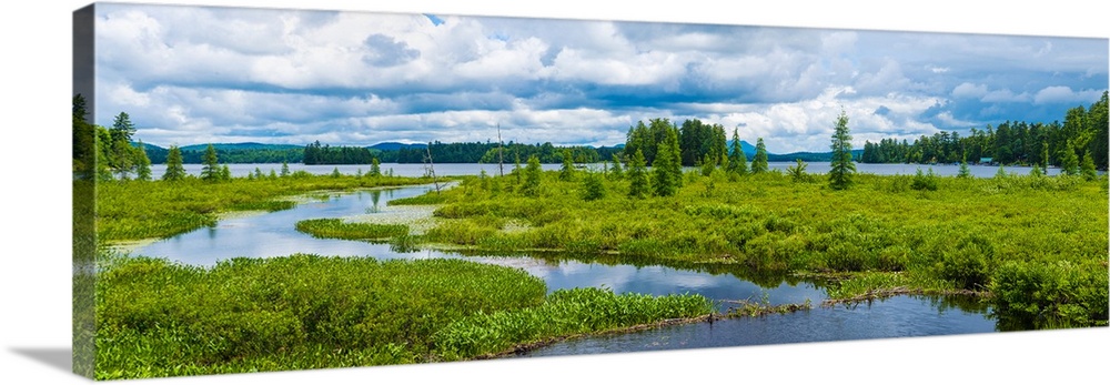 Wetlands near Raquette Lake in the Adirondack Mountains, New York State