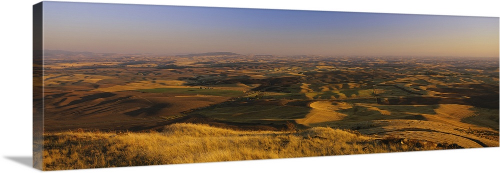 Wheat field on a landscape, Palouse Region, Whitman County, Washington State