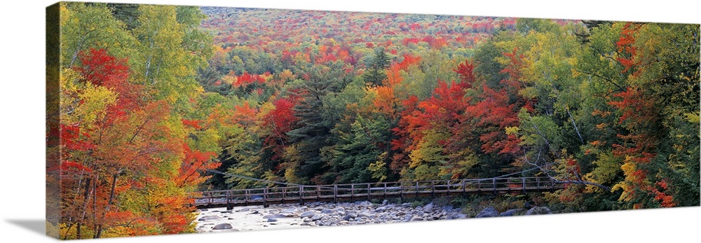 A suspension foot bridge passes over a boulder filled river in this panoramic photograph wall art.