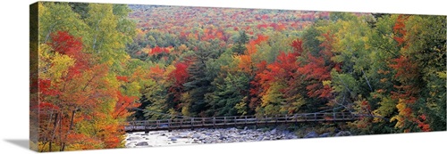 White Mountain National Forest NH | Great Big Canvas