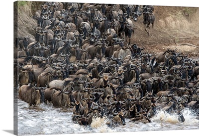 Wildebeests crossing Mara River, Serengeti National Park, Tanzania