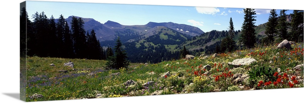 Horizontal canvas photo art of a field of flowers with rugged mountains in the distance.