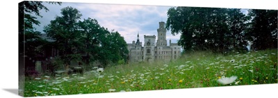 Wildflowers In A Field With A Castle, Hluboka Castle, Bohemia, Czech Republic