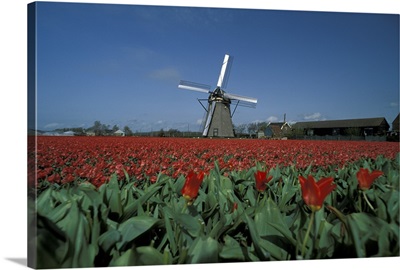 Windmill Amsterdam Netherlands