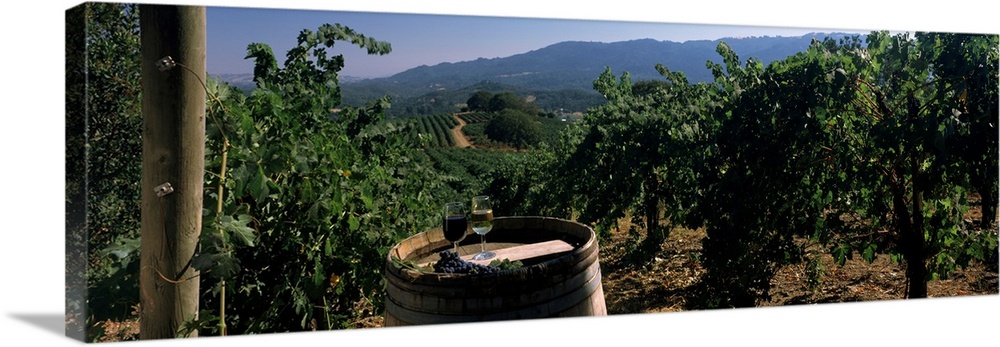 Wine & barrel Kunde Estate Winery Sonoma County CA