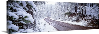 Winter Road MT