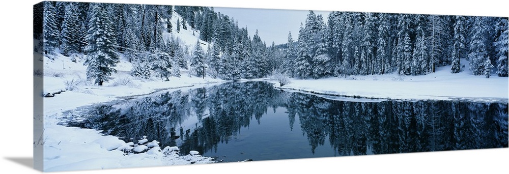 Wide angle photograph taken of a stream during winter with snow covered ground and pine trees lining the sides.