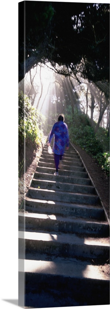 Woman Ascending Stairs OR