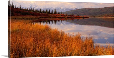 Wonder Lake & Alaska Range Denali National Park AK