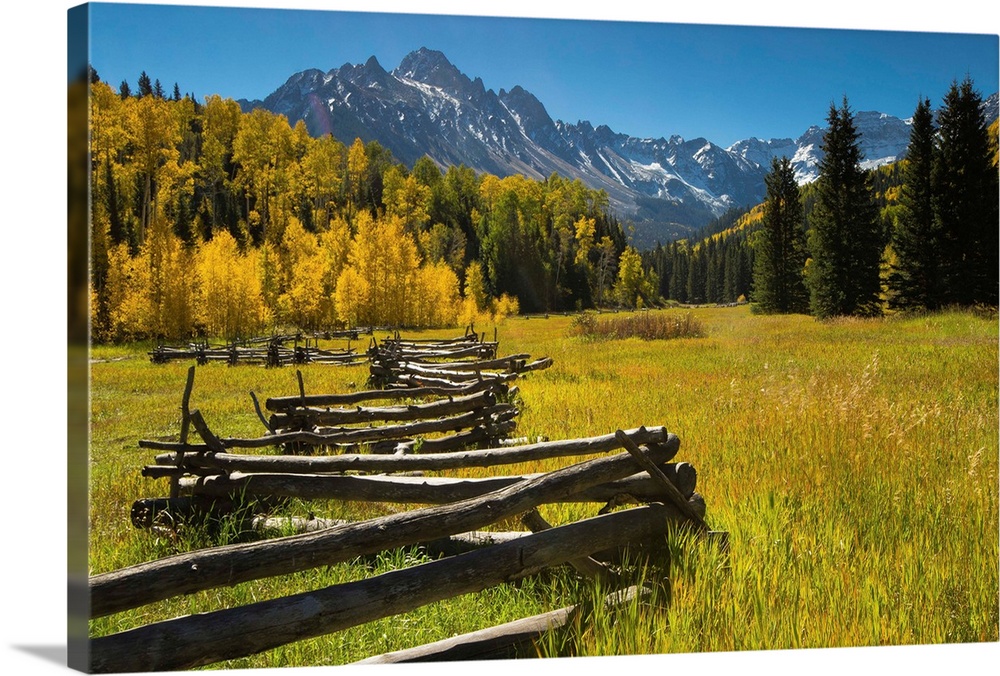 Wooden fence in a forest, Maroon Bells, Maroon Creek Valley, Aspen, Pitkin County, Colorado, USA