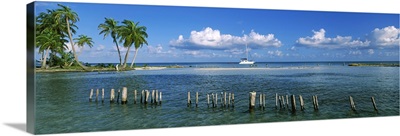 Wooden posts in the sea with a boat in background, Laughing Bird Caye, Victoria Channel, Belize