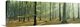 image thumbnail of Woodlands near Annweiler Germany