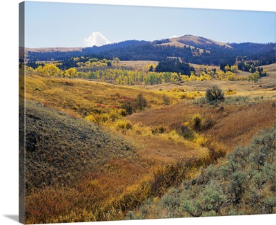 Wyoming, Yellowstone National Park, Lamar Valley, Panoramic view of a landscape