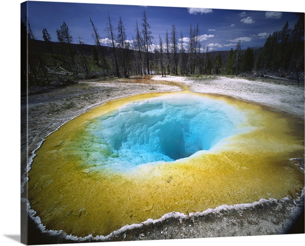 Horizontal, large photograph of colorful Morning Glory Pool surrounded by forest landscape, in Yellowstone National Park, ...