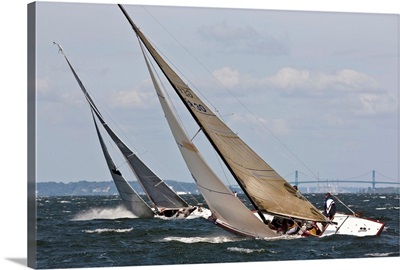 Yachts sailing in 6 Metre World Championships, Newport, Rhode Island