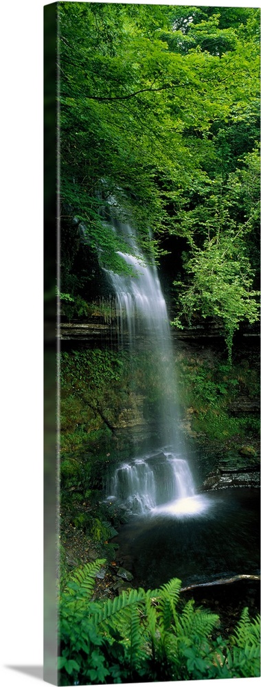 Vertical panoramic photograph of water cascading over a tree covered cliff's edge down to a lagoon.