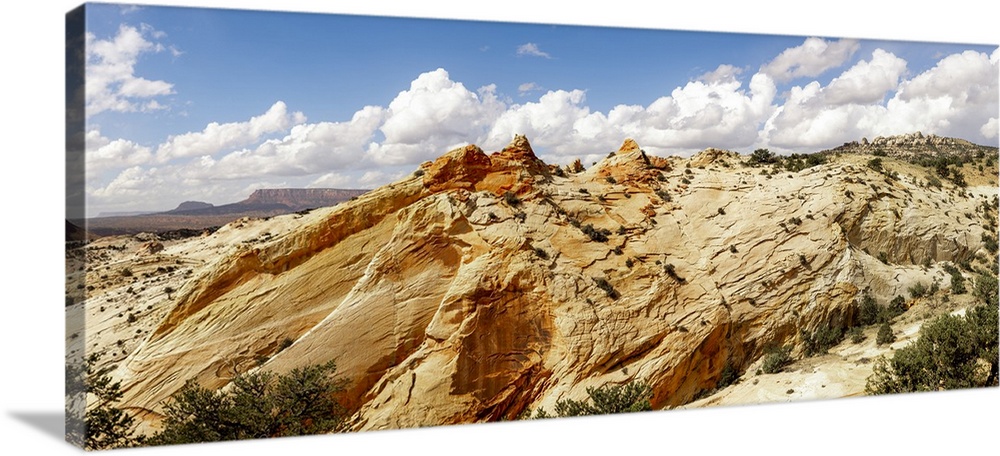 Yellow Rock area, Cottonwood Canyon, Grand Staircase-Escalante National Monument, Paria, Utah, USA