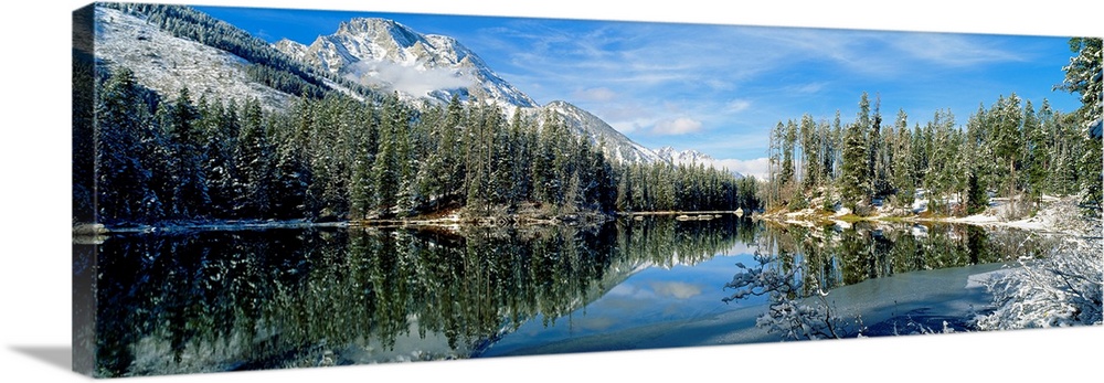 Panorama of a lake in Yellowstone, Wyoming, perfectly mirroring the surrounding evergreen forest and snowy mountains in th...